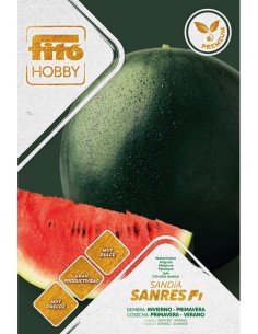 Graine de pastèque Perla Negra F1 (hybride) (1 000 graines)