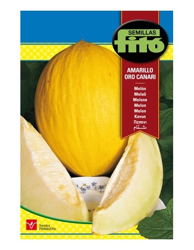 Compre semente de melão amarelo em Germigarden