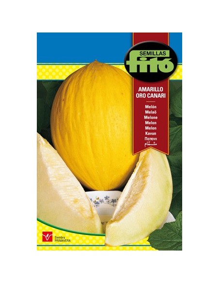 Compre semente de melão amarelo em Germigarden