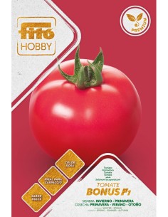 Semilla tomate Manacor F1 (híbrida) (1.000 semillas)