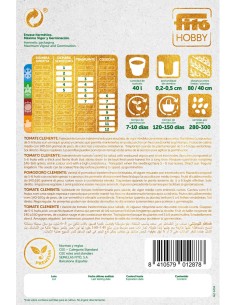 Graine tomate Clemente  F1 (hybride) (1 000 graines) 2