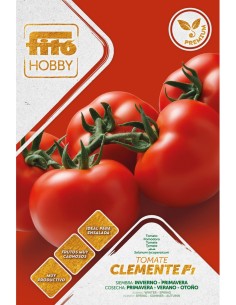 Semente de tomate Clemente F1 (híbrida) (1.000 sementes)
