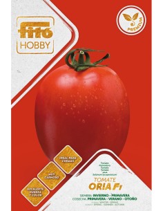 Semilla tomate Oria F1 (híbrida) (1.000 semillas)