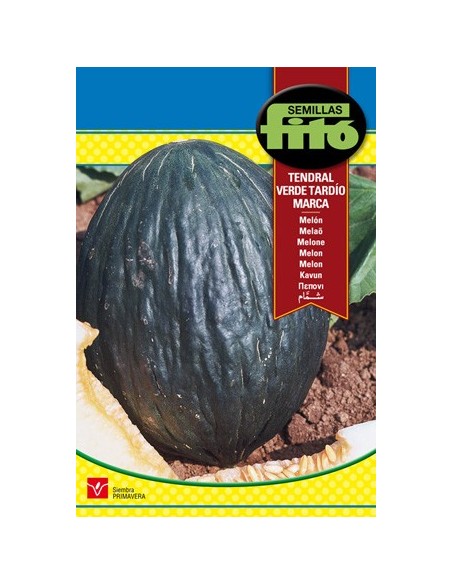 Semilla de melón verde i muy dulce  idal para guardar