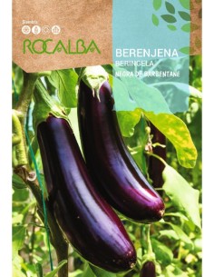 Semilla berenjena Negra de Barbentane