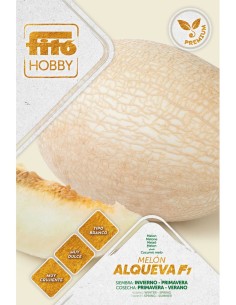 Semilla Melón Alqueva F1 (híbrida)