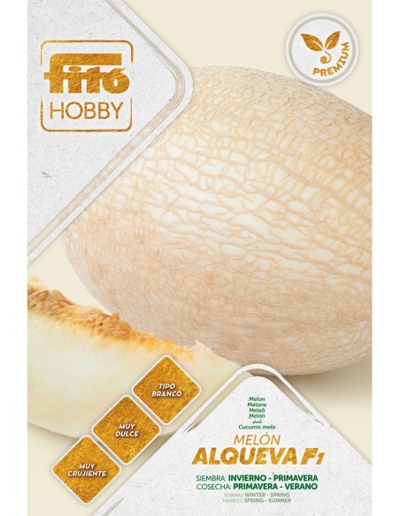 Semilla Melón Alqueva F1 (híbrida)