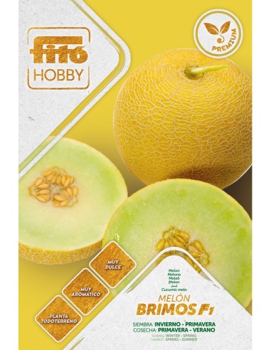 Semilla Melón Brimos F1 (híbrida)