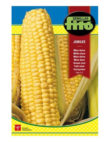 Compre Semente de milho doce Jubilee em Germigarden