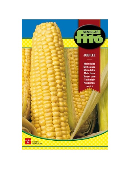 Compre Semente de milho doce Jubilee em Germigarden