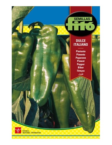 Semilla de pimiento para freir