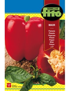 Semilla de pimiento rojo, grueso y dulce