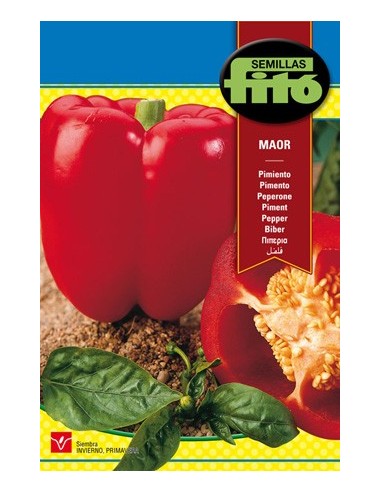Semilla de pimiento rojo, grueso y dulce