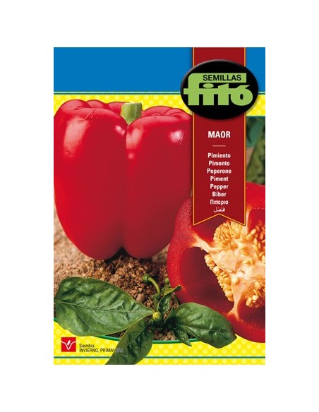Semilla de pimiento rojo, grueso y dulce