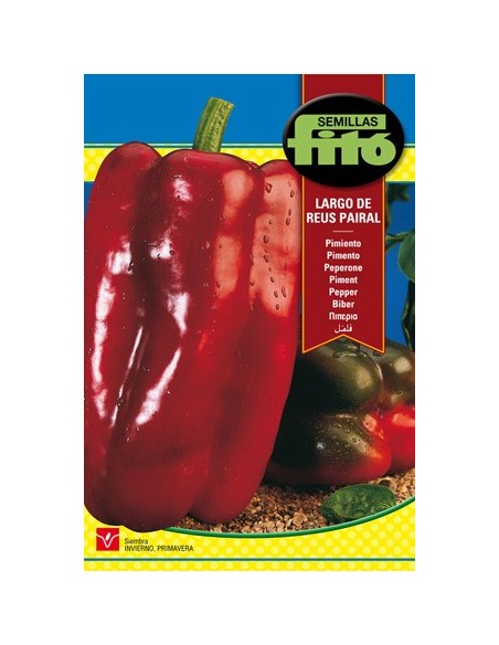 Semilla de pimiento para ensalada o a la brasa