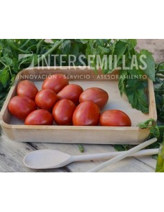 Semilla tomate Diezmil97 F1 (híbrida) (pera grande) (1.000 semillas)