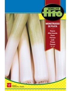 Semilla de puerro blanco y dulce