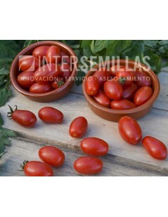 Graine de tomate Dolcisio F1 (hybride) (cherry allongé) (1.000 graines)