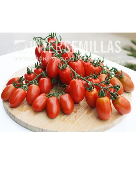 Semilla tomate Euler F1 (híbrida) (cherry alargado) (1.000 semillas)