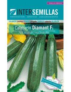 Llavor carbassó Diamant F1 (híbrida) (mig verd) (1.000 llavors)