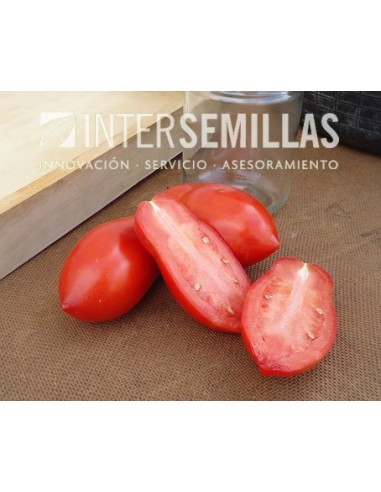 Semente de tomate Gades F1 (híbrida) (indústria tudo polpa) (1.000 semillas)