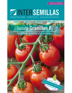 Semilla tomate Granillon F1 (híbrida) (cherry) (1.000 semillas)