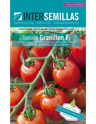 Semilla tomate Granillon F1 (híbrida) (cherry) (1.000 semillas)