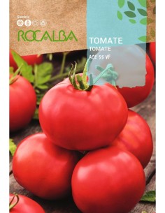 Graine de tomate ACE 55 VF