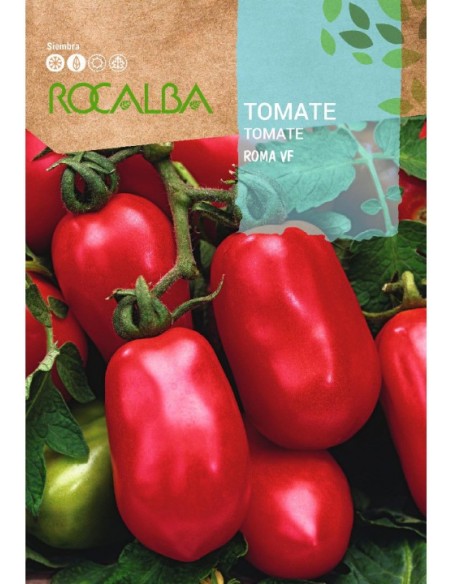 Semilla tomate Roma