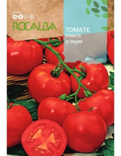 Semilla tomate De colgar