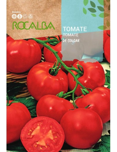 Semilla tomate De colgar