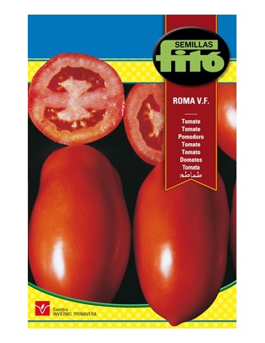 Semilla de tomate para conserva Roma