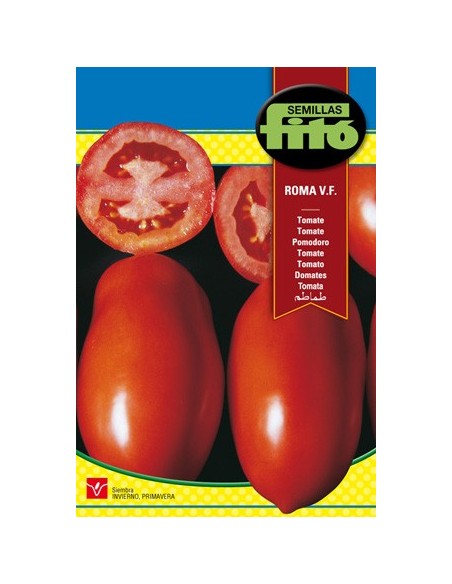 Semilla de tomate para conserva Roma