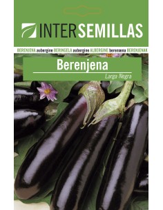 Semilla berenjena larga negra (100 gr)