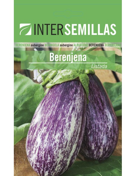 Graine d'aubergine listada de Gandia (100 gr)