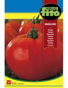 Semente de tomate Marglove em Germigarden