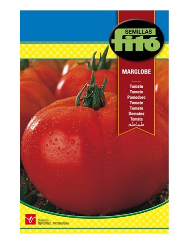 Semilla de tomate jugoso y carnoso