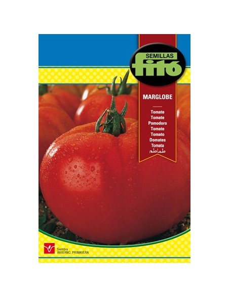 Semente de tomate Marglove em Germigarden