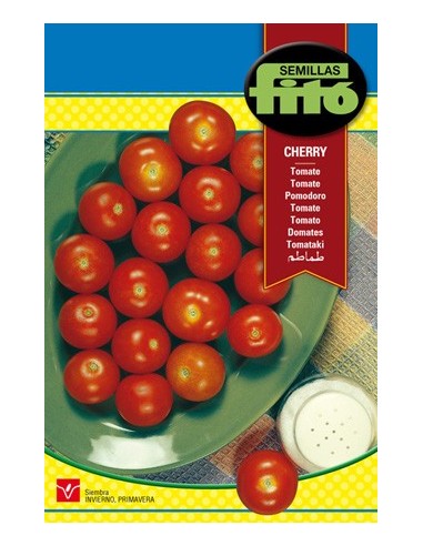 Sementes de tomate cherry em Germigarden