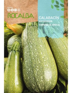 Graine courgettes algériennes précoces