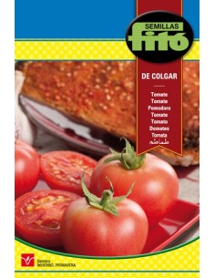 Compre sementes de tomate pendurado