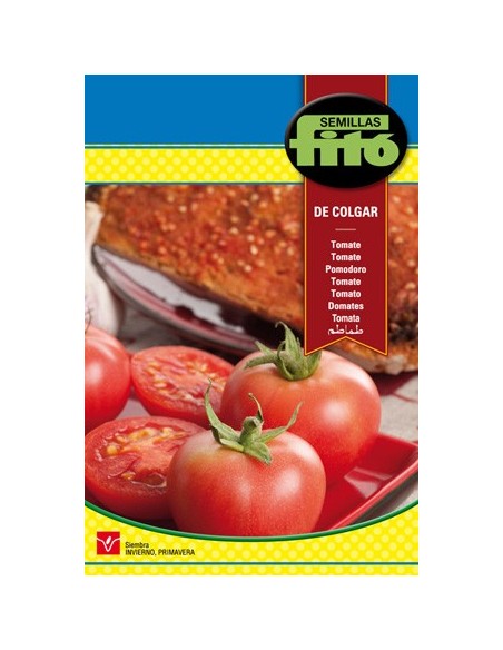 Tomate para colgar