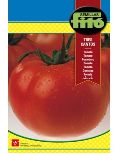 Semente de tomate Tres Cantos