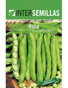 Llavor fava Mutxamel Extra Primerenc