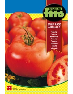 Graine de tomates pleines et sucrées