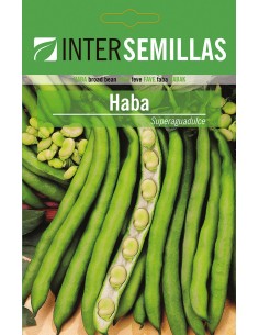 Semente de fava SuperAguadulce