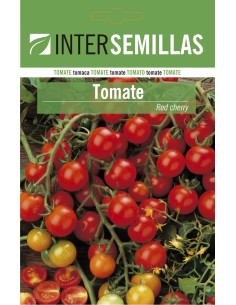 Graine de tomate Red cherry (100 gr)