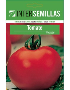 Semilla tomate Marglobe (100 gr)