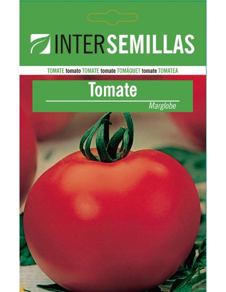 Semente de tomate Marglobe (100 gr)