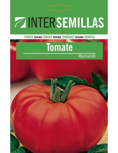 Graine de tomate Marmande (100 gr)